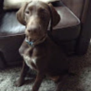 Meet your Posher, Lauren